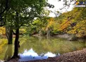 عکس/ مرداب زیبای «هسل» چالوس