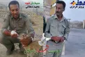 حکم قصاص قاتلان ۲ محیط بان هرمزگانی+عکس