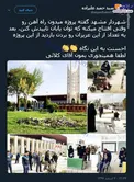 یک کار خوب از شهردار مشهد +عکس