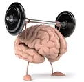 چگونه می توان حافظه خود را تقویت کرد؟