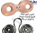 کشف نخستین عینک از جنس استخوان در ایران! +عکس