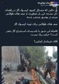 صف‌های طولانی گاز به بوشهر رسید! +عکس
