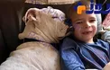 رابطه ای شگفت‌انگیز بین پسربچه لال و سگ ناشنوا +عکس