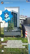 عکس/ مادر است دیگر...