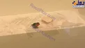 پرنده دزد دستگیر شد+عکس