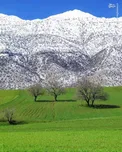 بهار و زمستان در یک قاب/ عکس