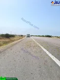 ملخ‌ها به سطح جاده رسیدند + عکس