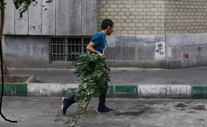 وزش باد شدید در تهران/پیش‌بینی کاهش کیفیت هوا