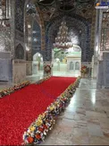 گل آرایی زیبای داخل حرم امام رضا(ع)