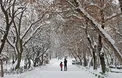هواشناسی: بارش مجدد برف از فردا / دمای شهرکرد به منفی ۱۷ درجه می رسد