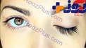 گیاهی مفید برای افزایش رشد مژده ها