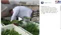 سبزی کاری روحانی معروف در پشت بام! + عکس