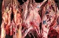 خوردن گوشت چه حیواناتی حرام است؟
