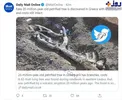کشف درخت ۲۰ میلیون ساله و عجیب در یونان! +عکس