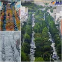 خیابانی زیبا در شهر بیجار کردستان+عکس
