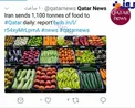 ایران روزانه چقدر مواد غذایی به قطر ارسال می کند؟