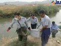 جسد بانوی ۳۵ ساله مفقود در سیل کشف شد/عکس