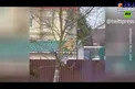 آفتاب گرفتن جالب شیر روی سقف یک خانه+عکس