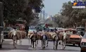 عکسی از قم در سال هزار و سیصد و پنجاه و هفت