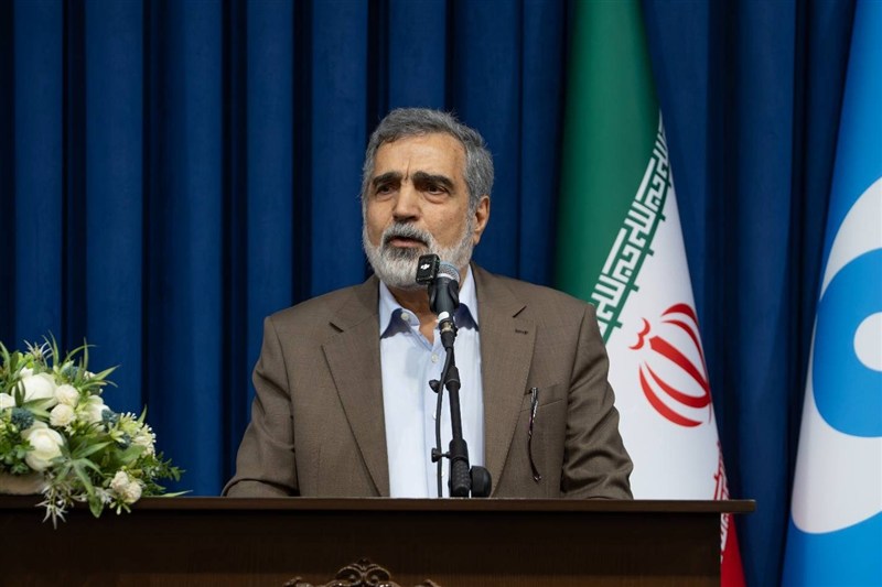 کمالوندی: ایران گزینههای زیادی برای دفاع از خود دارد کمالوندی: ایران گزینههای زیادی برای دفاع از خود دارد