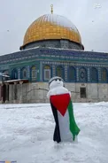 عکس/ آدم‌برفی فلسطینی