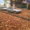 حکم جالب صادر شده توسط شهرداری ایلام+عکس