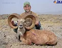 ماجرای قوچ وحشی و شکارچی کانادایی+عکس