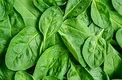 4 خاصیت بی نظیر اسفناج برای سلامتی