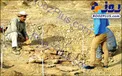 کشف فسیل گونه‌ای از لاک‌پشت در ابعاد یک اتومبیل