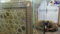 شهید سردار سلیمانی در حرم حضرت زینب (س) + عکس