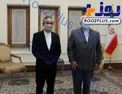 دیدار سفیر اندونزی با ظریف با پروتکل های بهداشتی/عکس