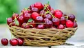 5 میوه ای که ورم بدنتان را درمان می کند