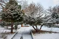 هواشناسی از آخرین وضعیت بارشهای زمستانی در کشور خبر داد