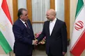 دیدار رئیس جمهور تاجیکستان با رئیس مجلس+ عکس