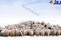 عکس روز نشنال جئوگرافیک+عکس