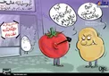 بدلیل گرانی‌گوجه، املت نداریم!+عکس