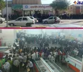 عکس/ صف طویل مرغ در بوشهر