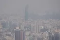 شرط 