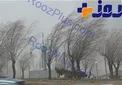 هشدار/ وزش باد شدید و گرد و خاک برای ۷ استان کشور