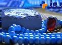 تسبیحات امیرالمؤمنین (ع)