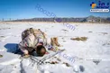 نماز خواندن مرزبان روی برف لبِ مرز+عکس