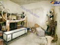 تخت طلاکاری شده «آمون»+عکس