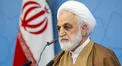 اژه ای: یکی از مسائل مهم در کم شدن جمعیت کیفری زنان کاهش جرم انگاری است