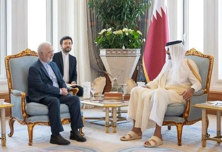 پیشنهادات امیر قطر درباره تحولات منطقه را به رئیس‌جمهور منتقل می‌کنم
