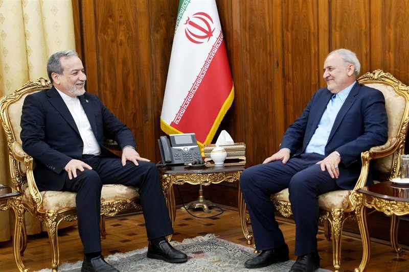 تاکید عراقچی بر استمرار رایزنیها با پاکستان برای تامین ثبات منطقه تاکید عراقچی بر استمرار رایزنیها با پاکستان برای تامین ثبات منطقه