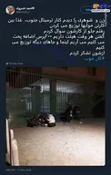 یک رسم خوب از یک زن و شوهر هیئتی +عکس