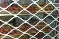 ورود یک موش به مغازه شیرینی فروشی+عکس