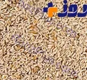 اکسیری شفابخش برای دستگاه گوارش