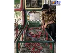 فرزاد حسنی در گلزار شهدا+عکس