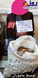 عکس/ جاسازی 19 کیلو هروئین در پوست گردو